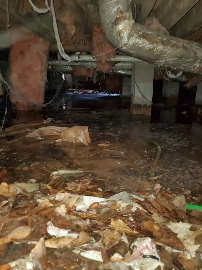 Crawl space flood assessment for Commercial Water Damage Restoration in Mount Hood Villages